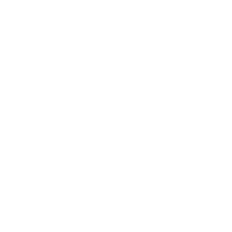Babboe Pro